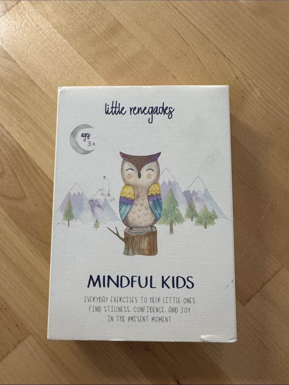 Little Renegades Mindful Kids Card Set - White with Multicolor Owl